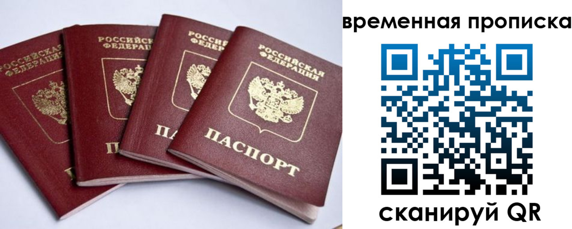 прописка гарантия в Воронеже